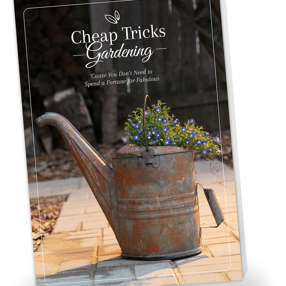 Cheap Tricks Gardening book cover