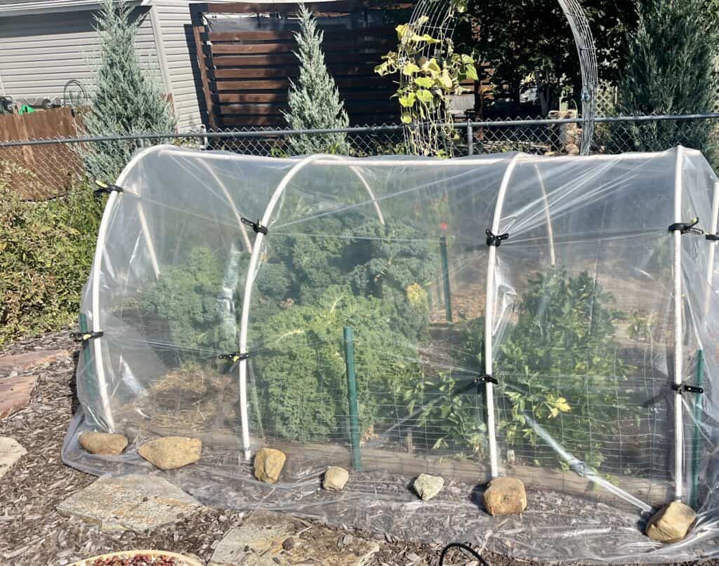 Hoop house on raised bed