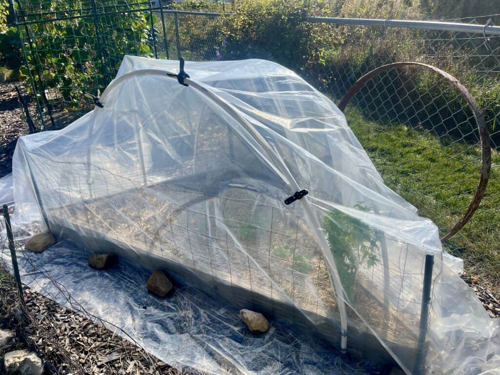 Hoop house on raised bed